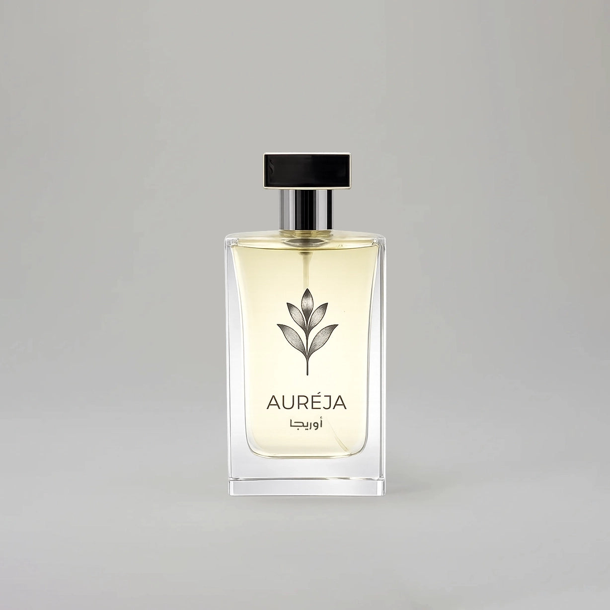 Aureja AL-10 Extrait De Parfum 105ML luxury citrus woody fragrance bottle for men